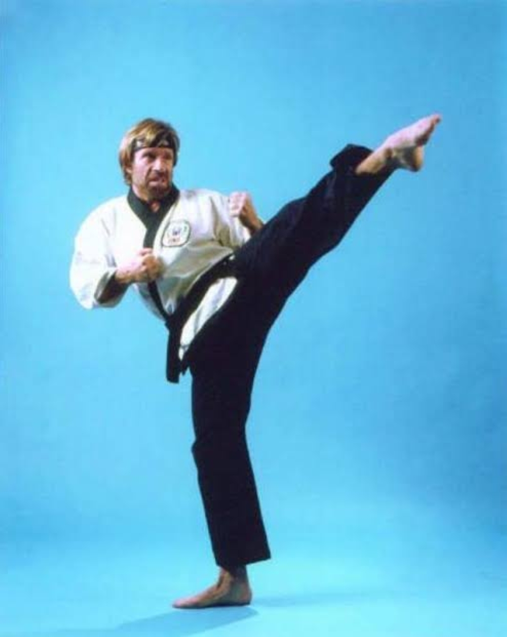 TODOS SOMOS PARTE DEL MISMO PLAN, por Chuck Norris