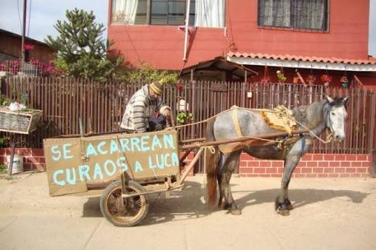 Carretela tirada por un caballo con un letrero que dice «Se acarrean curados a luca»